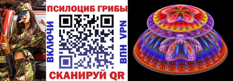 Купить где  Партизанск  Галлюциногенные грибы мицелий 